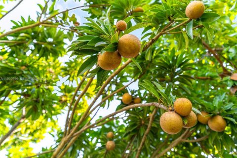 Propiedad comercial en venta en Miami, Florida № 1990074 - foto 29