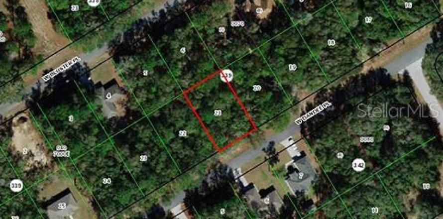 Land in Citrus Springs, Florida № 2158871