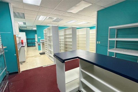Commercial property in Largo, Florida 278.71 sq.m. № 2206372 - photo 22