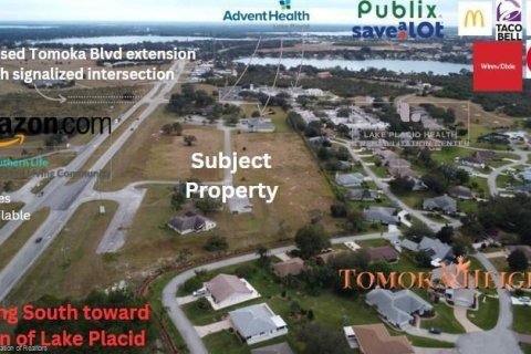 Immobilier commercial à vendre à Lake Placid, Floride № 2182970 - photo 4