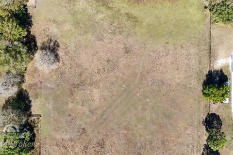 Купить земельный участок в Окичоби, Флорида № 2108373 - фото 13