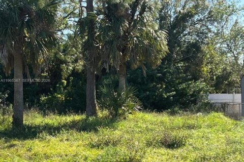 Land in Lehigh Acres, Florida № 2158594