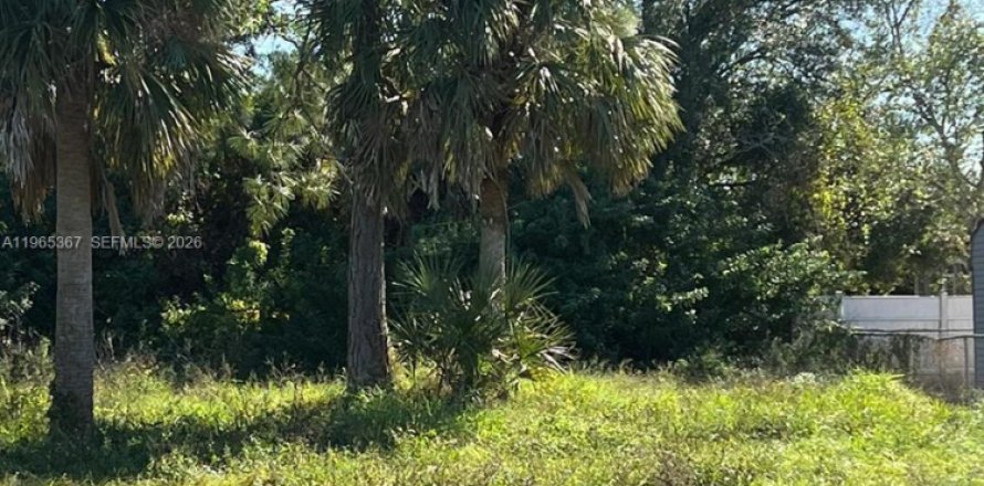 Land in Lehigh Acres, Florida № 2158594