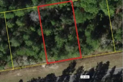 Land in Homosassa, Florida № 2361502