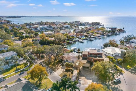 Land in Tampa, Florida № 2235091 - photo 4