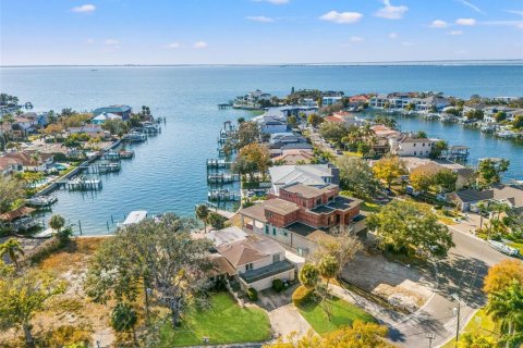 Land in Tampa, Florida № 2235091 - photo 2