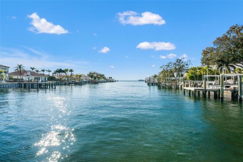 Land in Tampa, Florida № 2235091