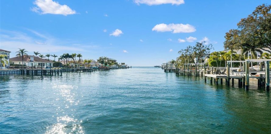 Land in Tampa, Florida № 2235091