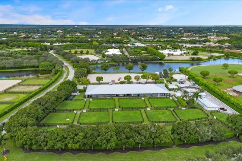 House in Wellington, Florida 10 bedrooms, 314.38 sq.m. № 2178033