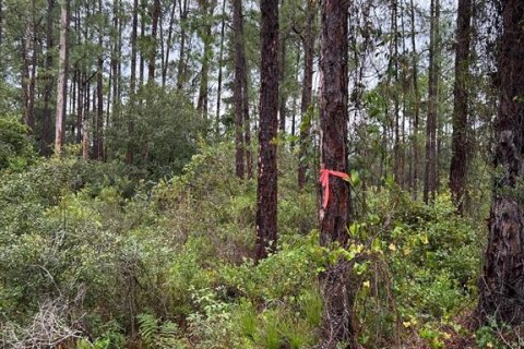 Land in Lehigh Acres, Florida № 2206089