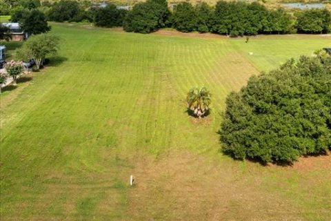 Terrain à vendre à Groveland, Floride № 2318554 - photo 3