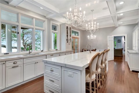Casa en venta en Tampa, Florida, 5 dormitorios, 545.71 m2 № 1795172 - foto 3
