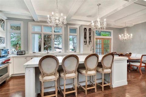 Casa en venta en Tampa, Florida, 5 dormitorios, 545.71 m2 № 1795172 - foto 4