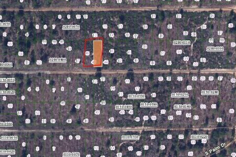 Terreno en venta en Interlachen, Florida № 2159469 - foto 2