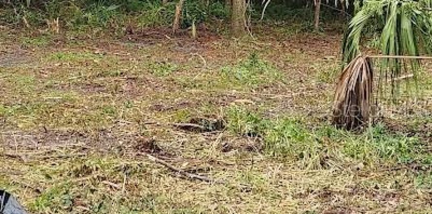 Land in Gainesville, Florida № 1906174