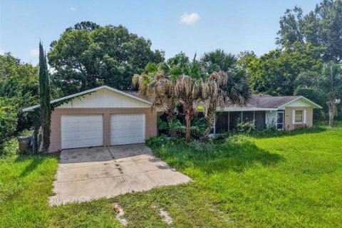 Villa ou maison à Umatilla, Floride 3 chambres, 116.69 m2 № 2324020