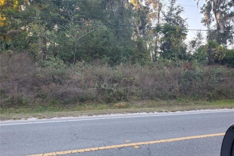 Land in Belleview, Florida № 2163039