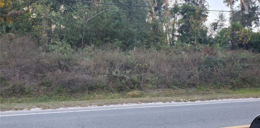 Land in Belleview, Florida № 2163039