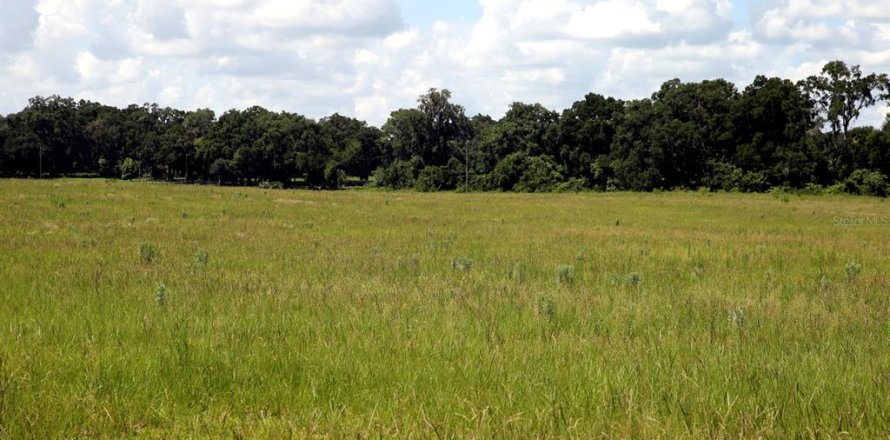 Land in Reddick, Florida № 1841721