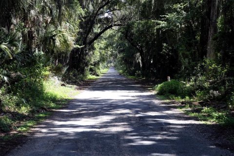 Terrain à vendre à Reddick, Floride № 1841721 - photo 6