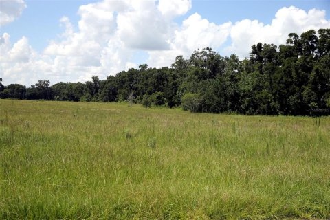 Terrain à vendre à Reddick, Floride № 1841721 - photo 4