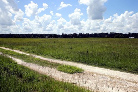 Terrain à vendre à Reddick, Floride № 1841721 - photo 3