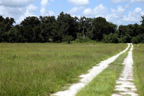 Terrain à vendre à Reddick, Floride № 1841721 - photo 2