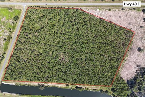Terreno en venta en Inglis, Florida № 1919195 - foto 4