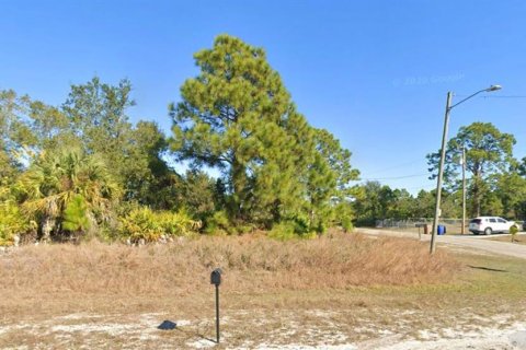 Land in Lehigh Acres, Florida № 2159446 - photo 2