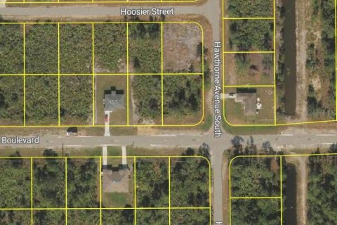 Land in Lehigh Acres, Florida № 2159446 - photo 3
