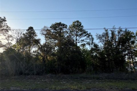 Land in Citrus Springs, Florida № 2165053 - photo 2