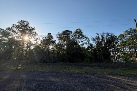 Land in Citrus Springs, Florida № 2165053 - photo 5