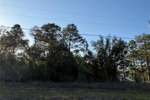 Land in Citrus Springs, Florida № 2165053 - photo 3