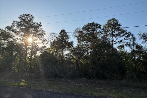 Land in Citrus Springs, Florida № 2165053