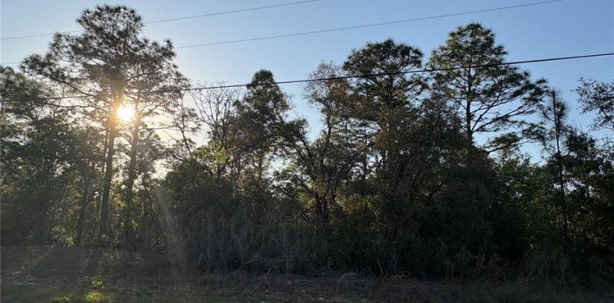 Land in Citrus Springs, Florida № 2165053