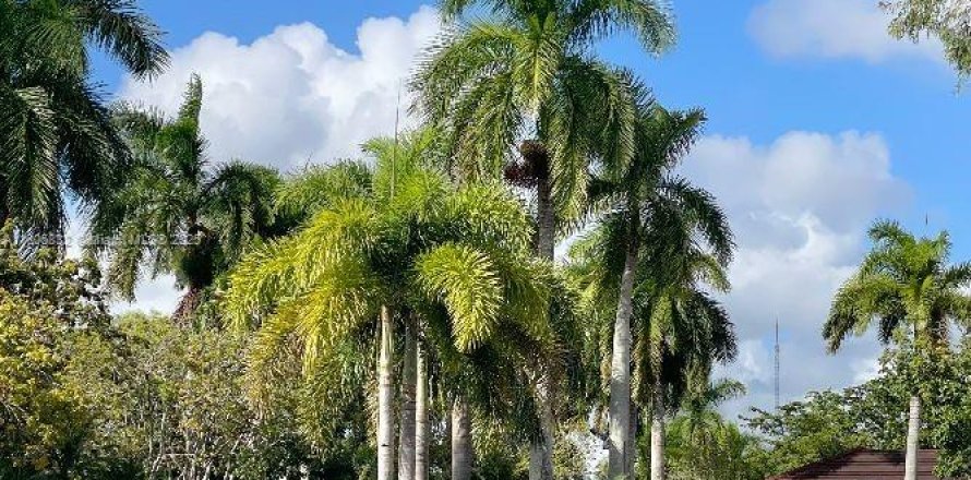 Condo in Miami, Florida, 2 bedrooms  № 1743835