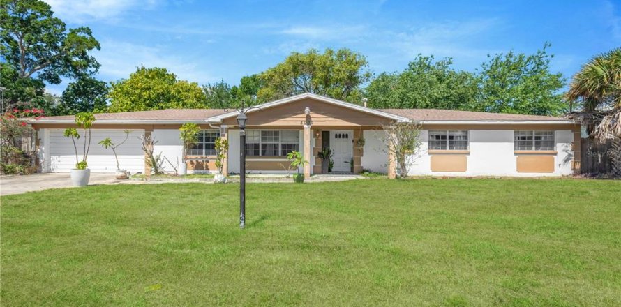 House in Tampa, Florida 4 bedrooms, 200.67 sq.m. № 2324595