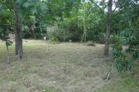 Land in Bartow, Florida № 2337395