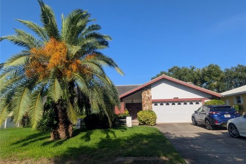 Villa ou maison à Seminole, Floride 3 chambres, 196.49 m2 № 2312749