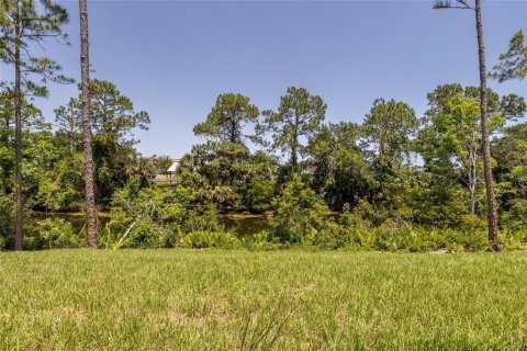 Immobilier commercial à vendre à Palm Coast, Floride: 6 chambres, 220.74 m2 № 1740406 - photo 17