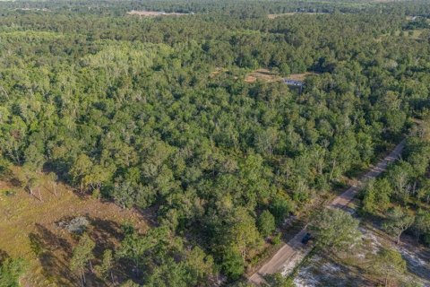 Land in Frostproof, Florida № 1822555 - photo 2