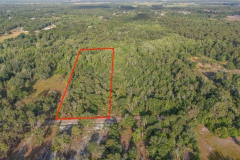 Land in Frostproof, Florida № 1822555 - photo 1