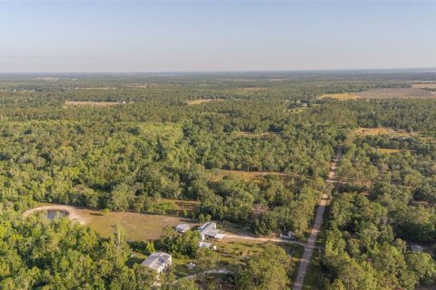 Land in Frostproof, Florida № 1822555 - photo 5