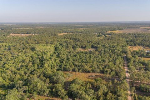 Land in Frostproof, Florida № 1822555 - photo 4
