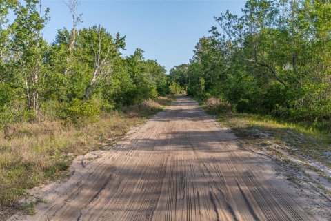 Land in Frostproof, Florida № 1822555 - photo 10