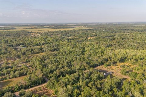 Land in Frostproof, Florida № 1822555 - photo 8