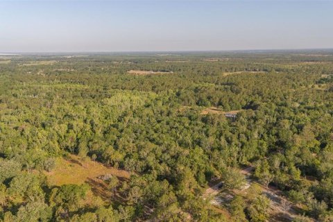 Land in Frostproof, Florida № 1822555 - photo 3