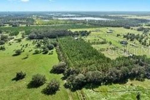 Land in Fish Hawk, Florida № 1908612 - photo 13