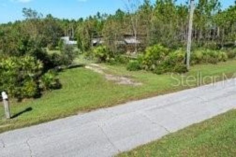 Land in Fish Hawk, Florida № 1908612 - photo 2