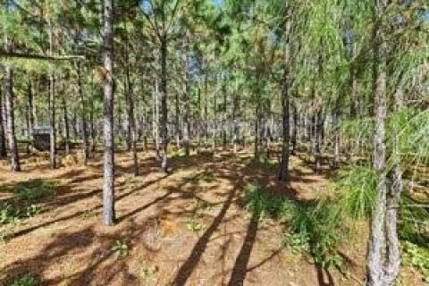 Land in Fish Hawk, Florida № 1908612 - photo 3